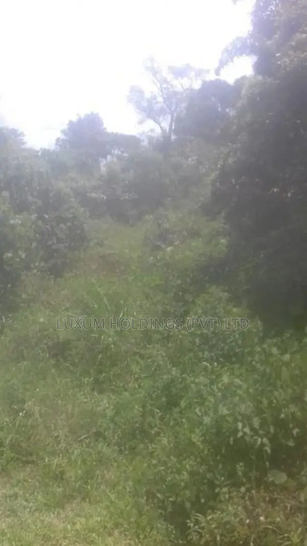 Land For Sale in Mathugama Road Nebada Anguruwatota