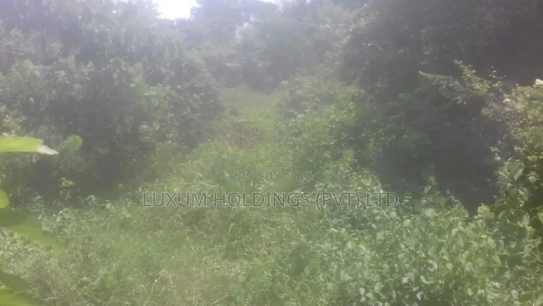Land For Sale in Mathugama Road Nebada Anguruwatota