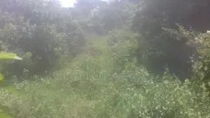 Land For Sale in Mathugama Road Nebada Anguruwatota