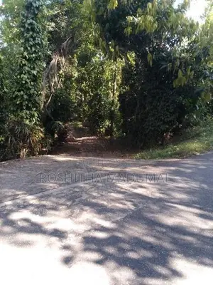 Land for sale Haputale