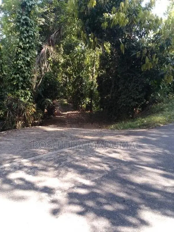 Land for sale Haputale