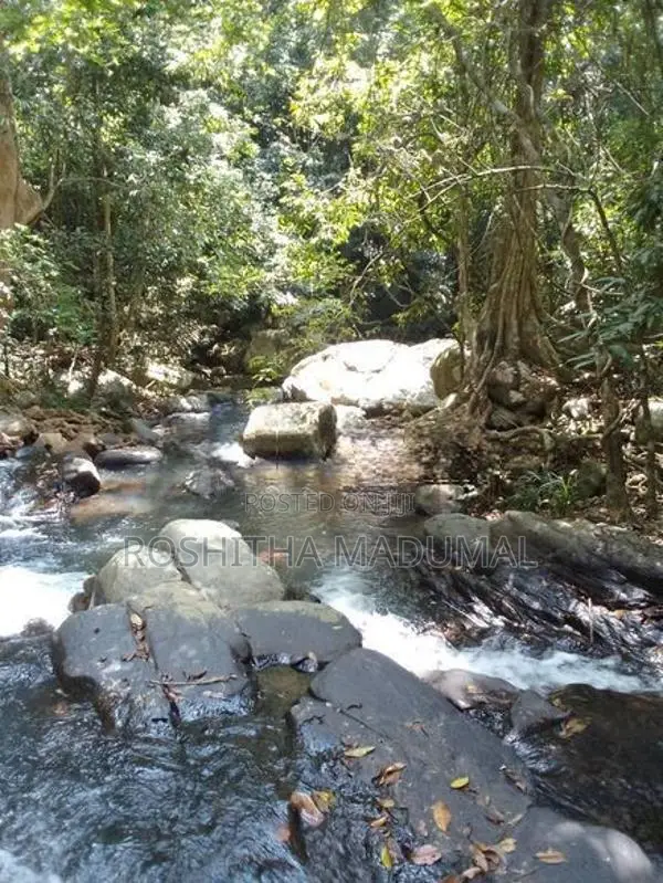 Land for sale Haputale