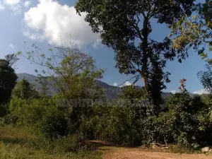 Land for sale Haputale