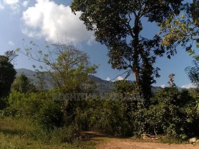 Land for sale Haputale