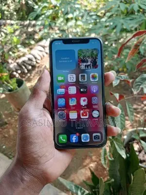 Apple iPhone X 256GB (Used)
