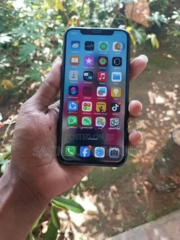 Apple iPhone X 256GB (Used)