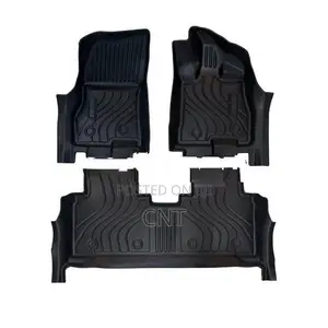 AION V Premium TPE Floor Mats