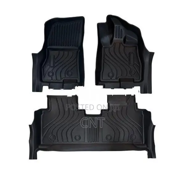 AION V Premium TPE Floor Mats