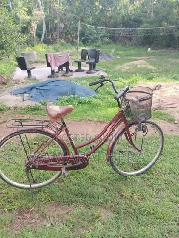Bicycle