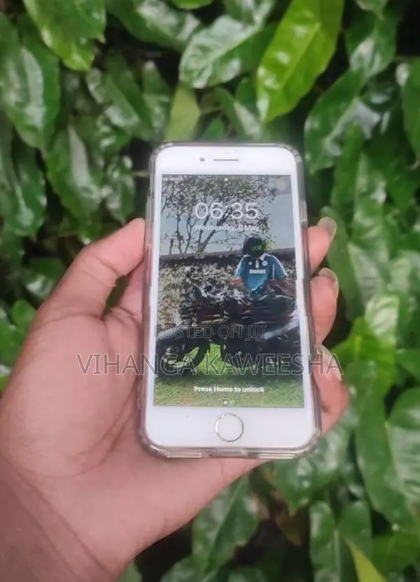 Apple iPhone 7 (Used)