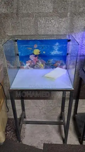 Fish Tank