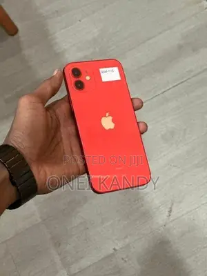 Apple iPhone 12 256GB (Used)