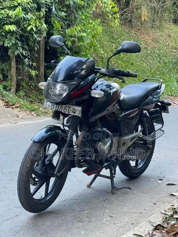 Bajaj Pulsar 150 2015