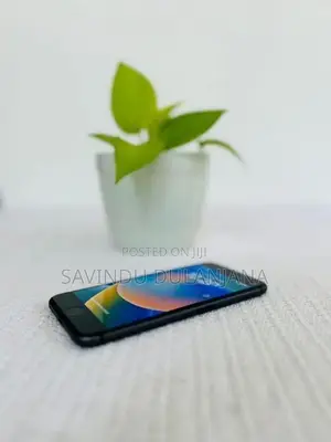 Apple iPhone 8 256GB (Used)