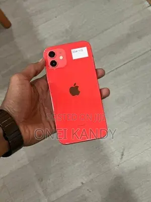 Apple iPhone 12 256GB (Used)