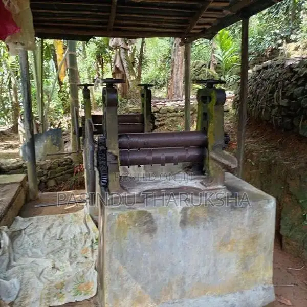 රබර් අබරන රොල් යන්ත්‍රය