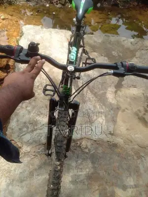 Bicycle