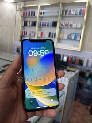 Apple iPhone X (Used)