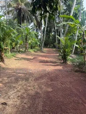Land for Sale in Kirindiwela