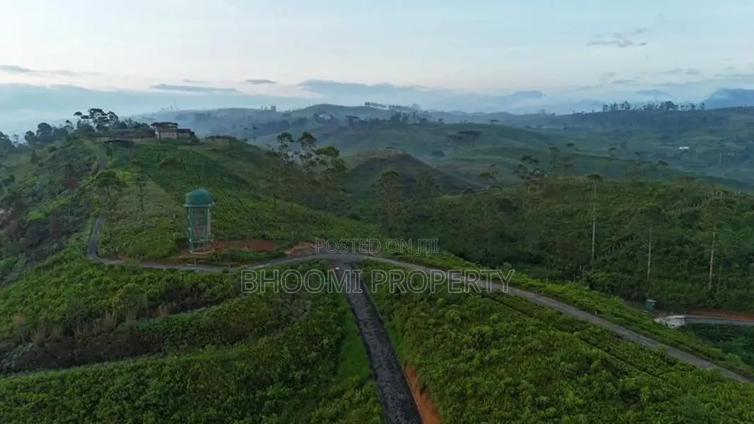 හැටන් නගරයෙන් සුන්දර බිම්කොටස්
