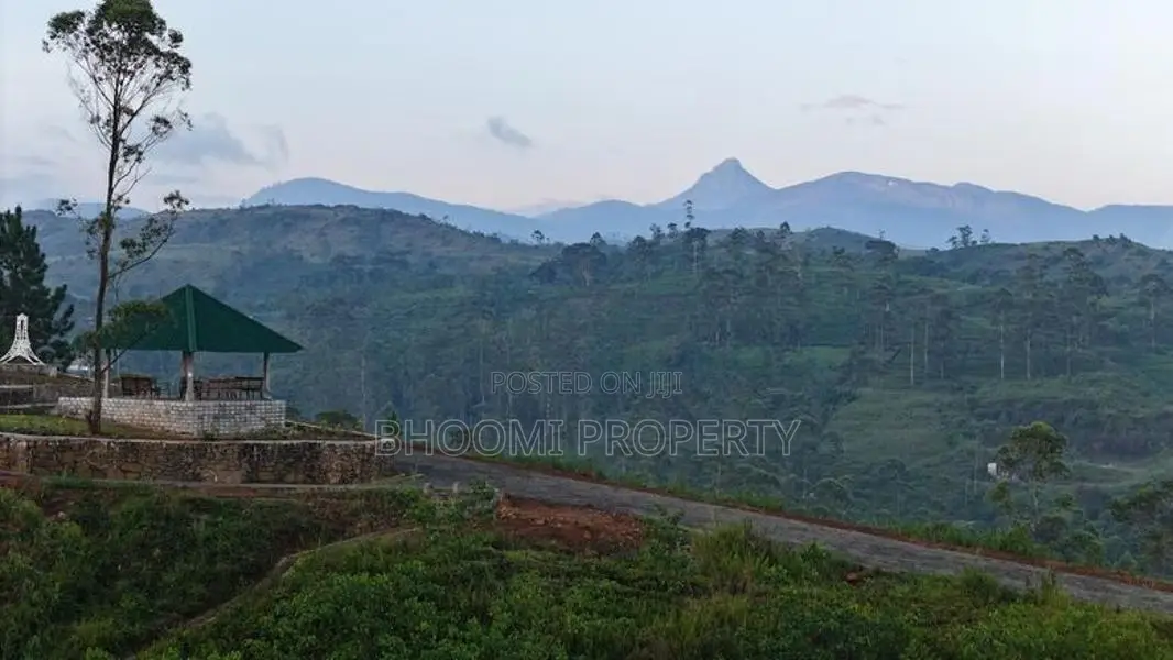 හැටන් නගරයෙන් සුන්දර බිම්කොටස්