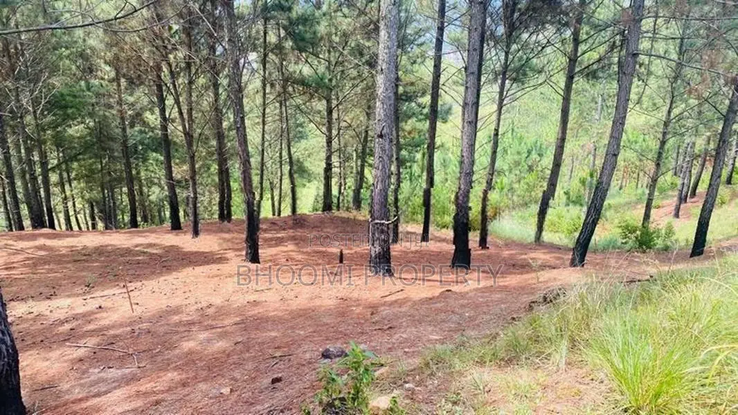 land in ella