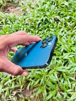 Apple iPhone 12 Pro (Used)