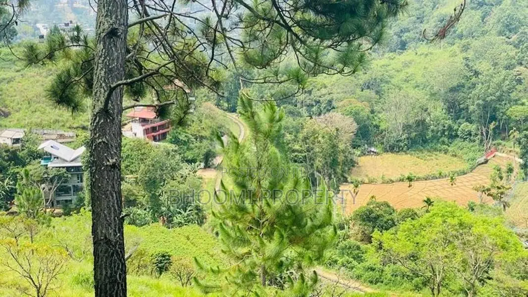 land in ella