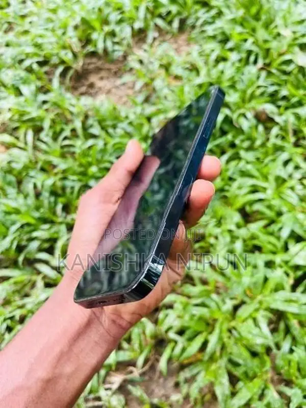 Apple iPhone 12 Pro (Used)