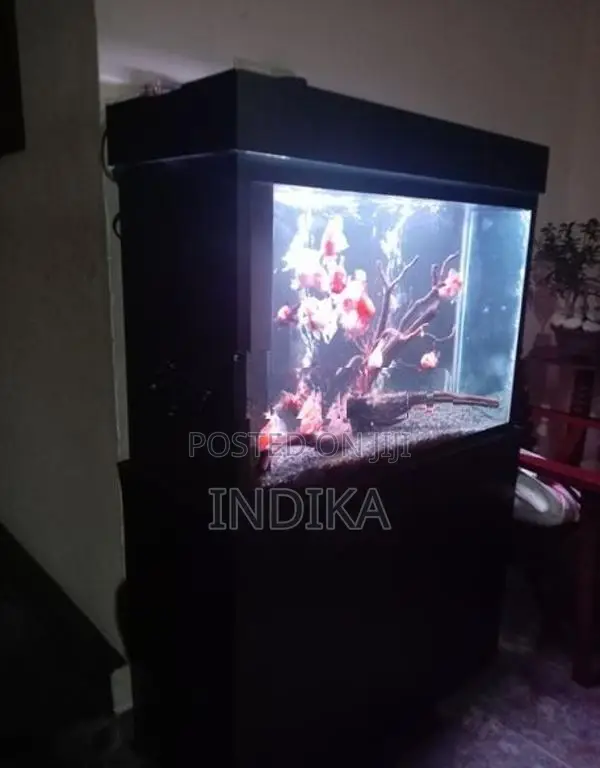 3 Feet Fish Tank