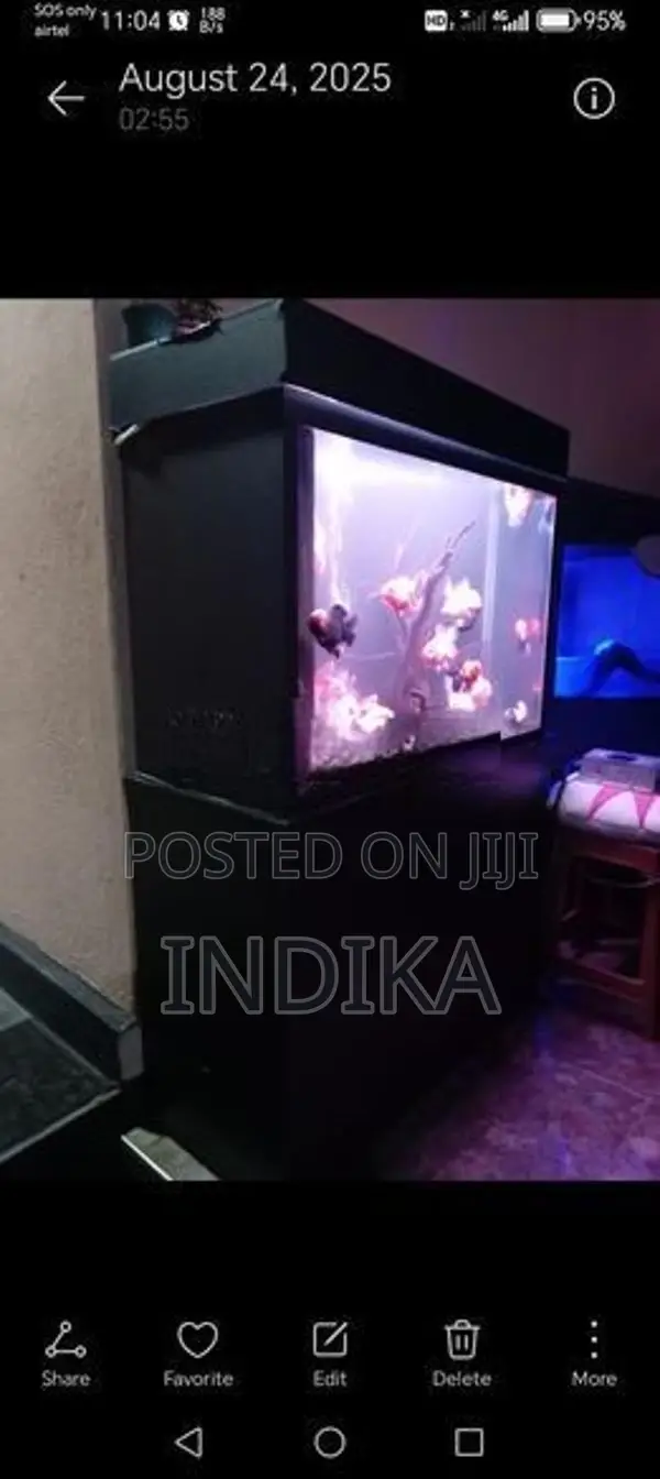 3 Feet Fish Tank