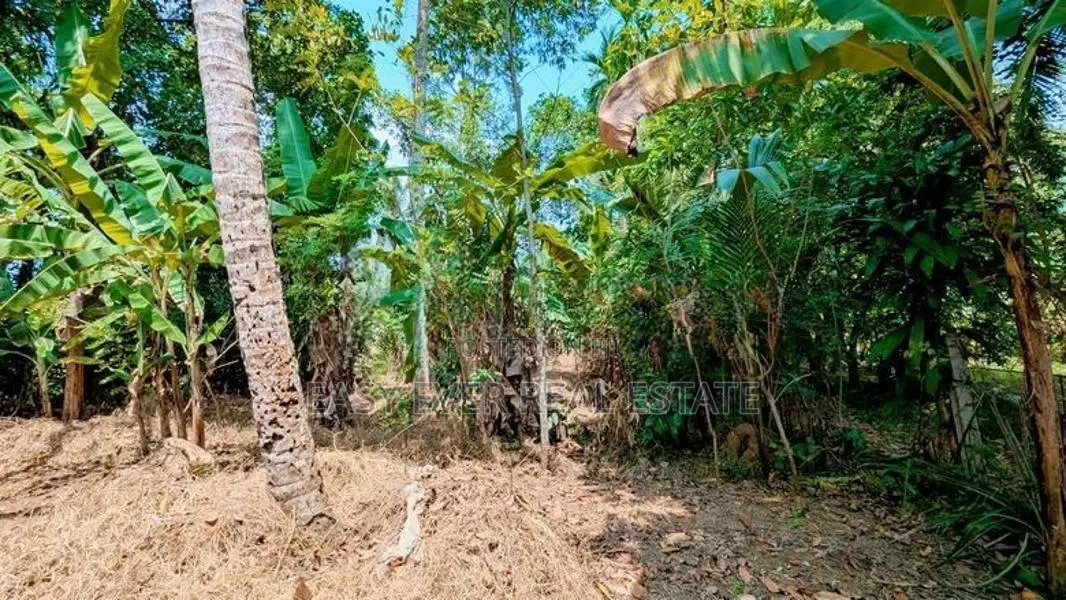 Land for Sale in Nittambuwa