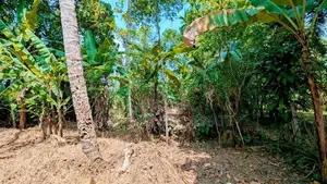 Land for Sale in Nittambuwa
