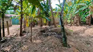 Land for Sale in Nittambuwa