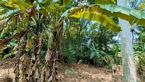 Land for Sale in Nittambuwa