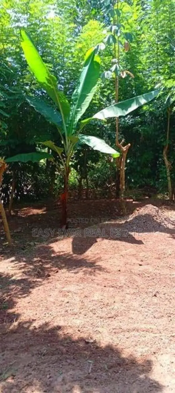Land for Sale in Heiyanthuduwa