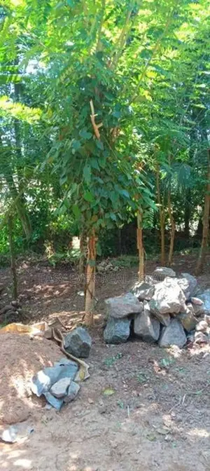 Land for Sale in Heiyanthuduwa