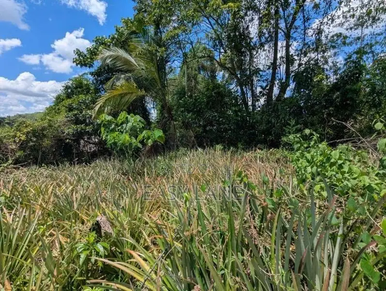 Land for Sale in Yagoda