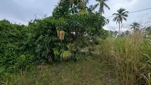 Land for Sale in Aththanagalla