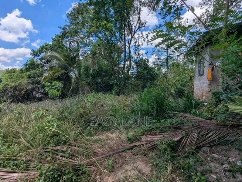 Land for Sale in Yagoda