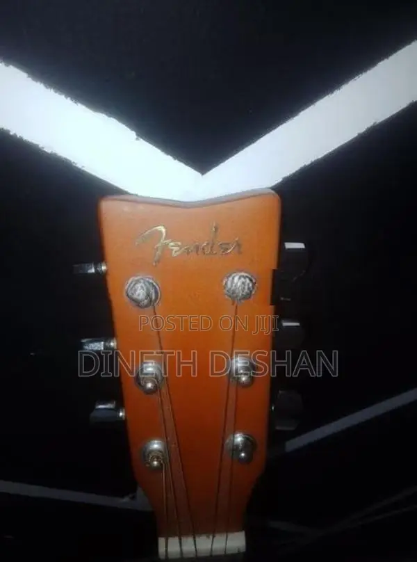 Guitar