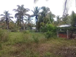 Land for Sale in Kuliyapitiya