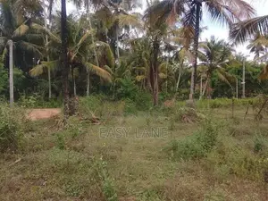 Land for Sale in Kuliyapitiya