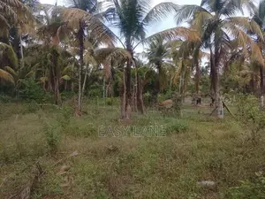 Land for Sale in Kuliyapitiya