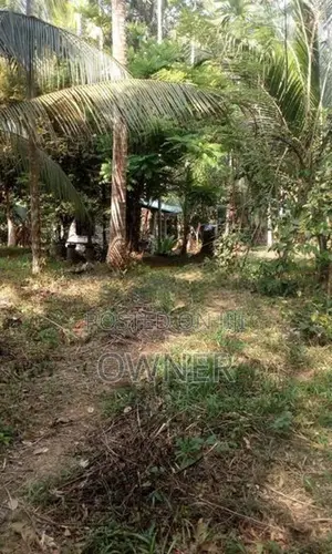 Kadawatha Land For Sale