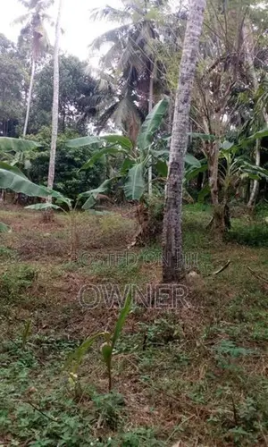 Kadawatha Land For Sale