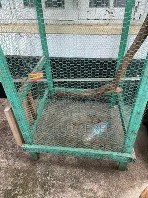 Bird Cage