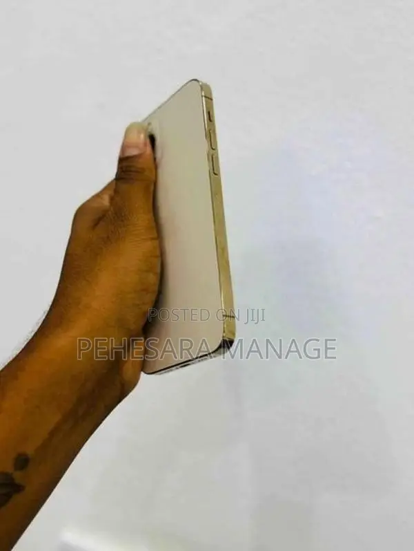 Apple iPhone 12 Pro 256GB (Used)