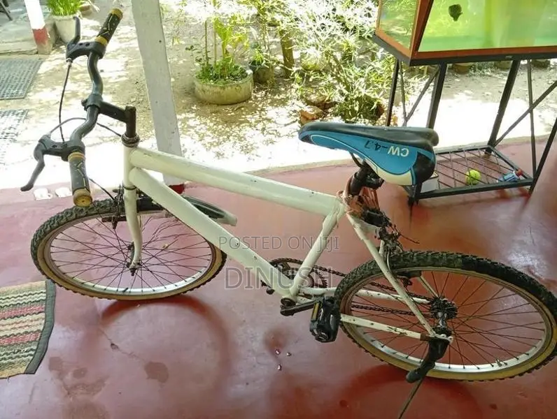 Tomahawk bicycle Size 24