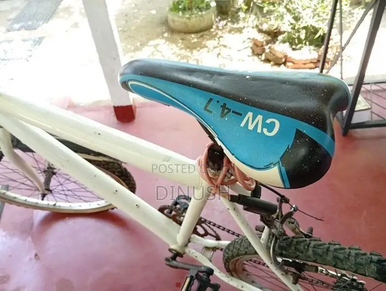 Tomahawk bicycle Size 24